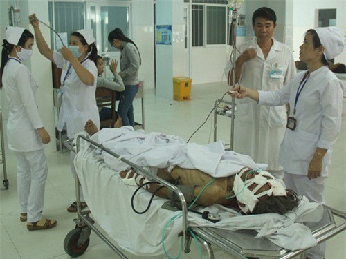 Quảng Nam: Lợn rừng tấn công khiến 4 người trọng thương