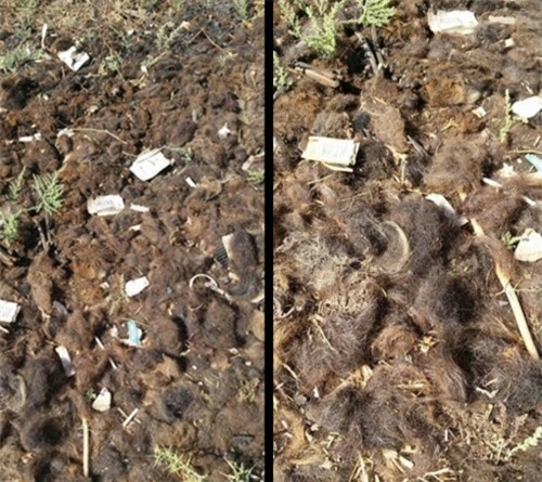 Phiến quân IS cạo râu, độn ngực... giả gái chạy khỏi Syria