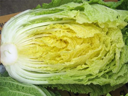 Những lợi ích bất ngờ của rau cải thảo