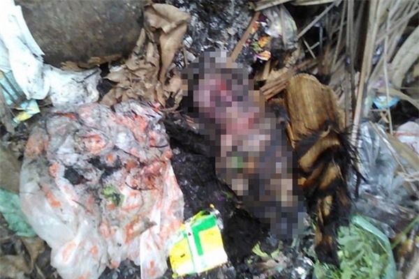 Mẹ ruột nhẫn tâm vứt con vừa lọt lòng ra bãi rác rồi đốt vì... nhà nghèo