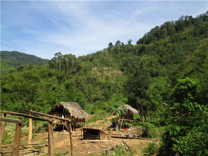 Nghệ An: Một người đàn ông tử vong do súng cướp cò khi đi rẫy