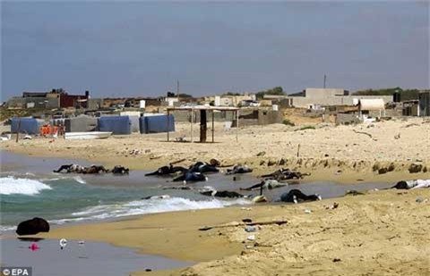 Phát hiện 40 thi thể người tị nạn trôi dạt vào bờ biển Libya