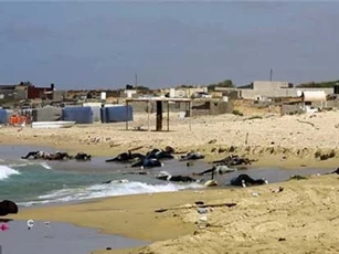 Phát hiện 40 thi thể người tị nạn trôi dạt vào bờ biển Libya