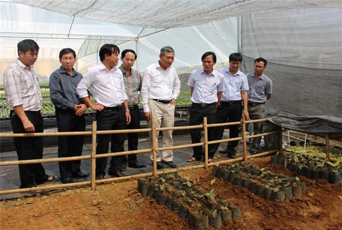 Thứ trưởng Bộ KHCN thăm vùng nguyên liệu của Nafoods Group