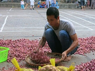 Tỏi Lý Sơn cháy hàng lấy đâu 300 tấn ế ở Hà Nội?