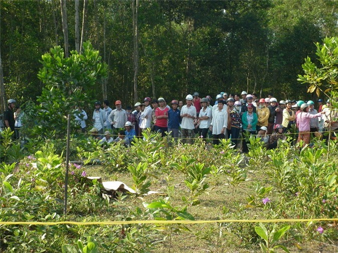 Hoảng hốt thi thể Phó bí thư đoàn xã treo cổ chết trên đồi keo