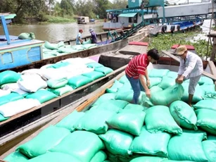 Thị trường lúa gạo trong nước sẽ sôi động do nhu cầu nhập khẩu của Philippines