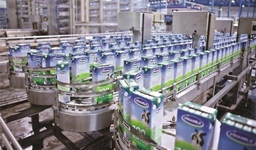 Bán vốn nhà nước tại Vinamilk, FPT để... xây bệnh viện, chống ngập lụt