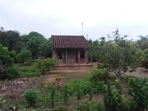 Khởi tố con nuôi bất hiếu kề dao cổ mẹ vòi 200 triệu đồng