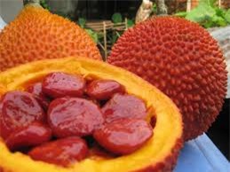 Những sai lầm cần tránh khi sử dụng quả gấc