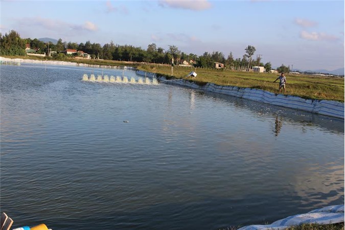 Xã Cẩm Phúc (Hà Tĩnh): Sau 5 năm Xây dựng Nông thôn mới một chặng đường, ngàn bước tiến