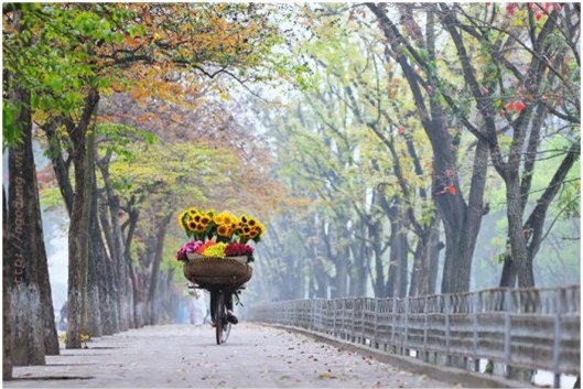 Dự báo thời tiết 4/11: Bắc Bộ nắng nhẹ, Trung Bộ mưa lớn, cảnh báo lũ lụt