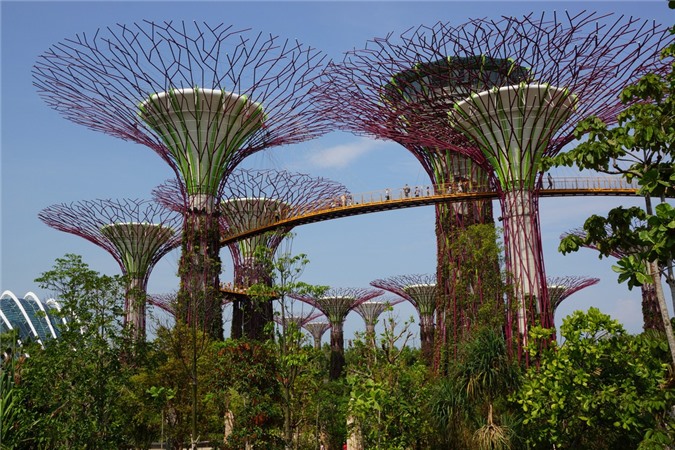 Gardens by the Bay – khu vườn tuyệt hảo của Singapore