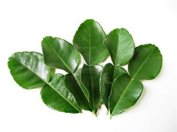 Lá chanh và khả năng chữa bệnh thần kỳ 