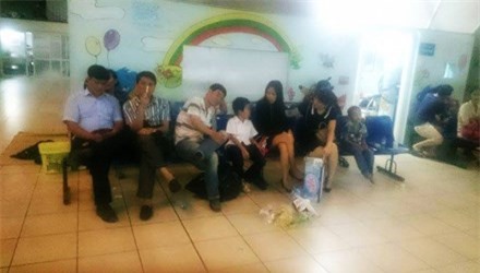 51 học sinh tiểu học ở Hà Nội phải cấp cứu khẩn vì ong đốt