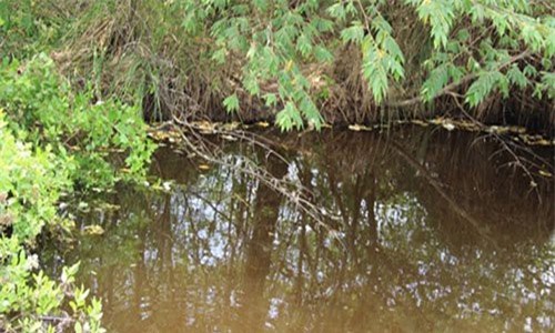 Mâu thuẫn với mẹ chồng, con dâu sát hại cháu 4 tuổi để trả thù