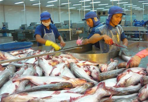 Xuất khẩu cá tra sang ASEAN giảm nhẹ