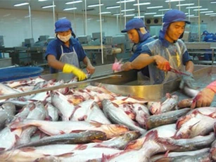 Xuất khẩu cá tra sang ASEAN giảm nhẹ