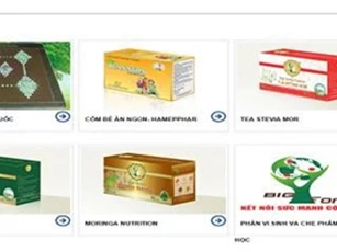 Công ty Big Forest Việt Nam kinh doanh đa cấp trái phép?