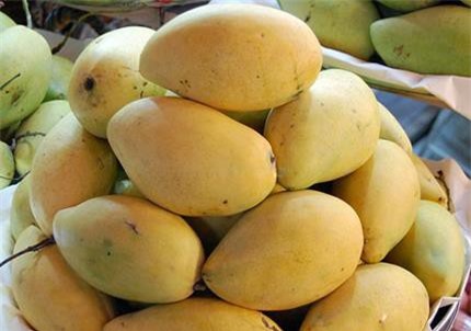 Xoài Việt Nam chính thức được xuất bán tại thị trường Nhật Bản