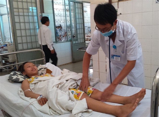 Rắn lục đuôi đỏ đổ về vườn cà phê tấn công nhiều người