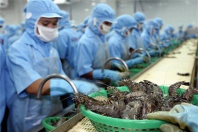 Xuất khẩu Tôm sang Mỹ có nhiều triển vọng