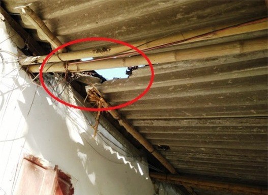 Hà Tĩnh: Nổ mìn khiến đá bay trúng đầu một người tử vong 