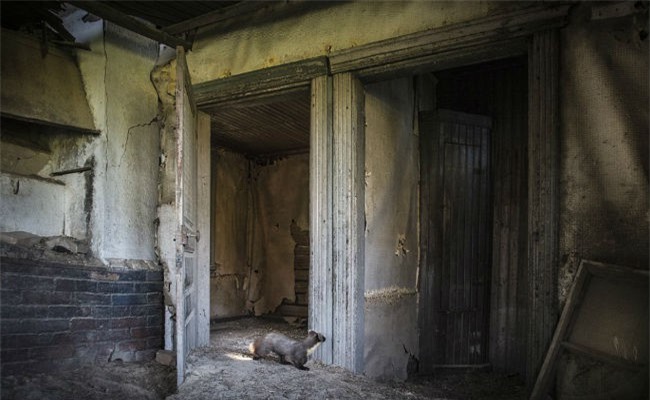 Kinh hoàng phát hiện 8 thi thể sơ sinh trong căn nhà bỏ hoang