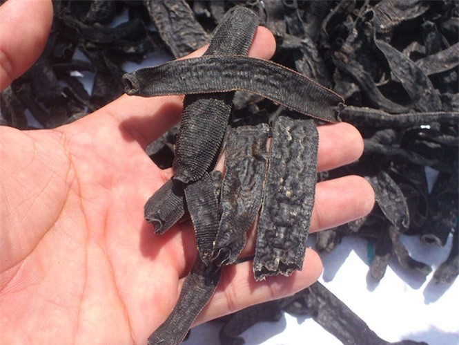 Bắt giữ 72 kg đỉa khô nhập lậu qua biên giới vào Việt Nam