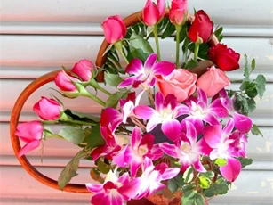 Những quà tặng ý nghĩa tri ân thầy cô giáo ngày 20/11