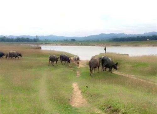 Bị người dân truy đuổi, 3 cẩu tặc vứt xe máy nhảy xuống sông tẩu thoát