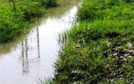 Đi tìm mẹ, bé trai 3 tuổi rơi xuống mương nước tử vong