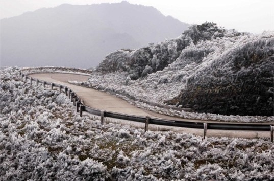 Dự báo thời tiết 25/11: Bắc Bộ nhiệt độ giảm sâu, có nơi dưới 17 độ