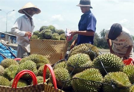 Nhiều loại rau quả tăng giá chóng mặt