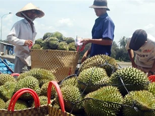 Nhiều loại rau quả tăng giá chóng mặt