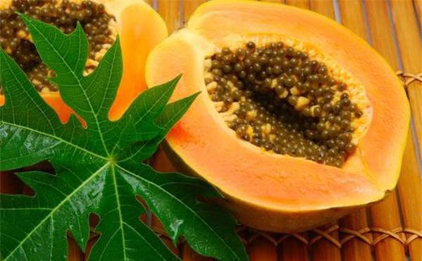 Thực phẩm tốt nhất cho bệnh nhân sốt xuất huyết