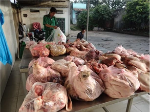 Tố giác thực phẩm bẩn được thưởng ngay 5 triệu đồng