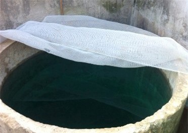 Hạ độc gia đình em dâu vì mâu thuẫn nhỏ