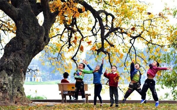 Dự báo thời tiết ngày 29/11: Miền Bắc ấm dần