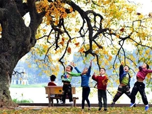 Dự báo thời tiết ngày 29/11: Miền Bắc ấm dần