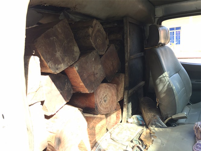 Lâm tặc ngang nhiên đánh kiểm lâm cướp lại gỗ lậu