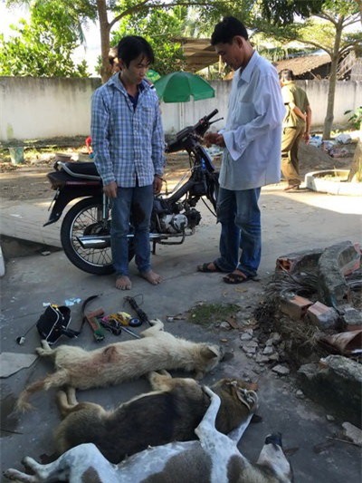 Bị cảnh sát truy đuổi, nhóm trộm chó dùng kích điện bắn trả