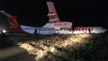 Ấn Độ: Máy bay gặp nạn vì... đụng độ lợn rừng