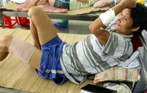 Quảng Nam: Lợn rừng tấn công người khi bị săn đuổi