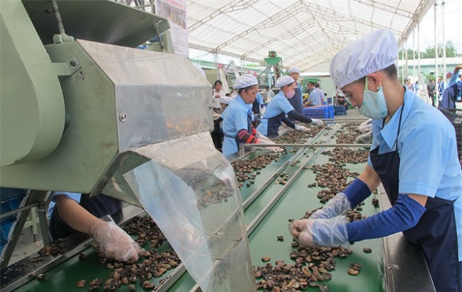 Vốn FDI của Đài Loan đang đổ mạnh vào tỉnh Bình Dương