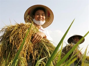 Gia nhập TPP, nông dân Việt "muôn vàn nỗi lo"