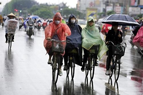 Dự báo thời tiết ngày 15/12: Miền Bắc có mưa, trời rét