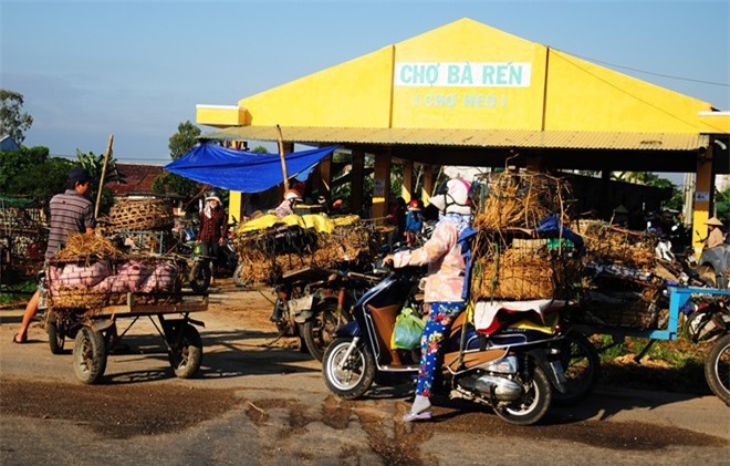 Nghề bế heo thuê gần nửa thế kỷ