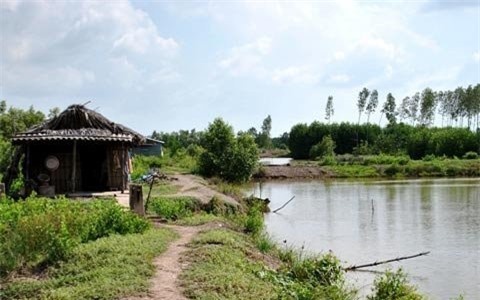 Hai vợ chồng già chết thảm ở đầm tôm với hàng chục vết đâm