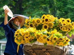 Dự báo thời tiết 20/12: Miền Bắc ấm dần